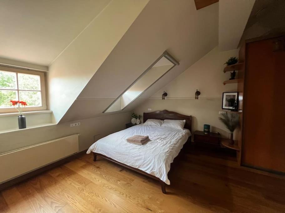 Old Town Apartment With Free Parking Vilnius Exteriér fotografie