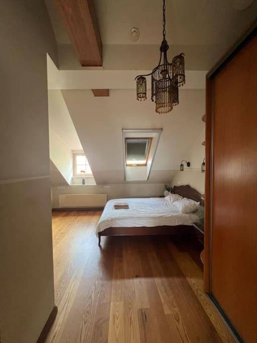 Old Town Apartment With Free Parking Vilnius Exteriér fotografie